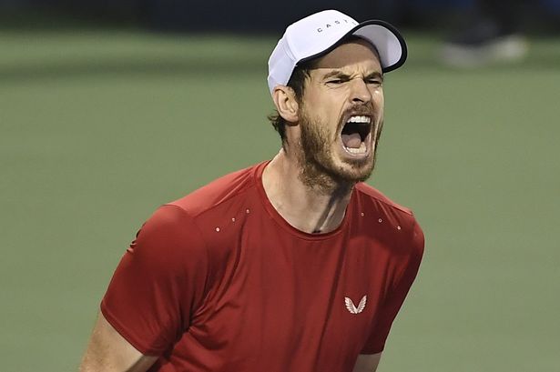 Tennis – Buon compleanno al guerriero Andy Murray! Storia e successi del britannico.