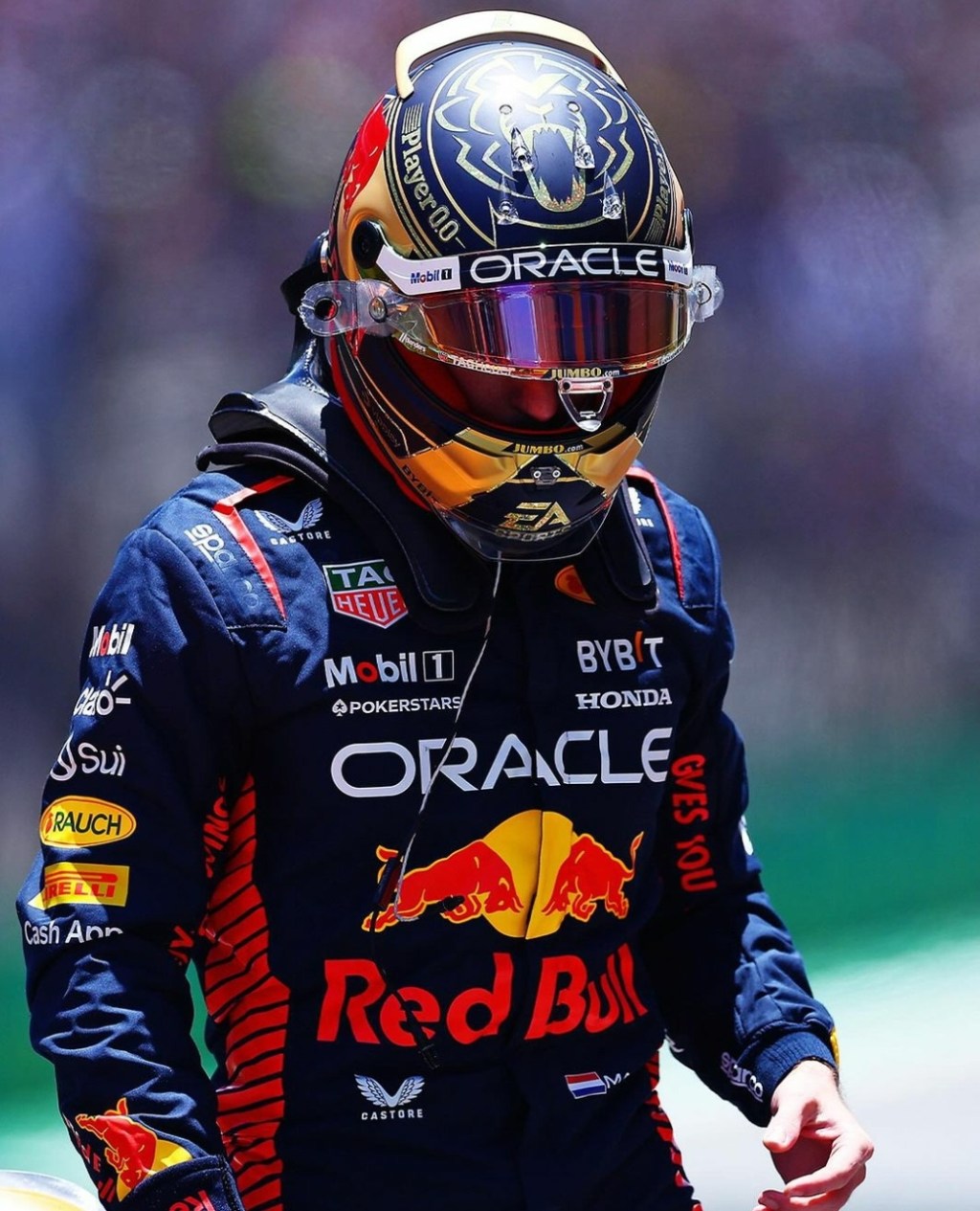 Formula 1 – Gara sprint Brasile : Gara decisa dalle&nbsp;gomme.