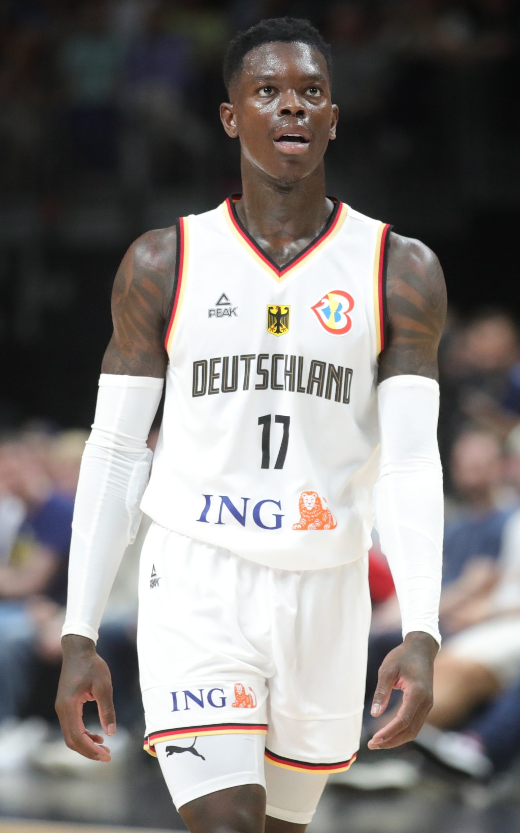 Scambio Nets-Raptors.